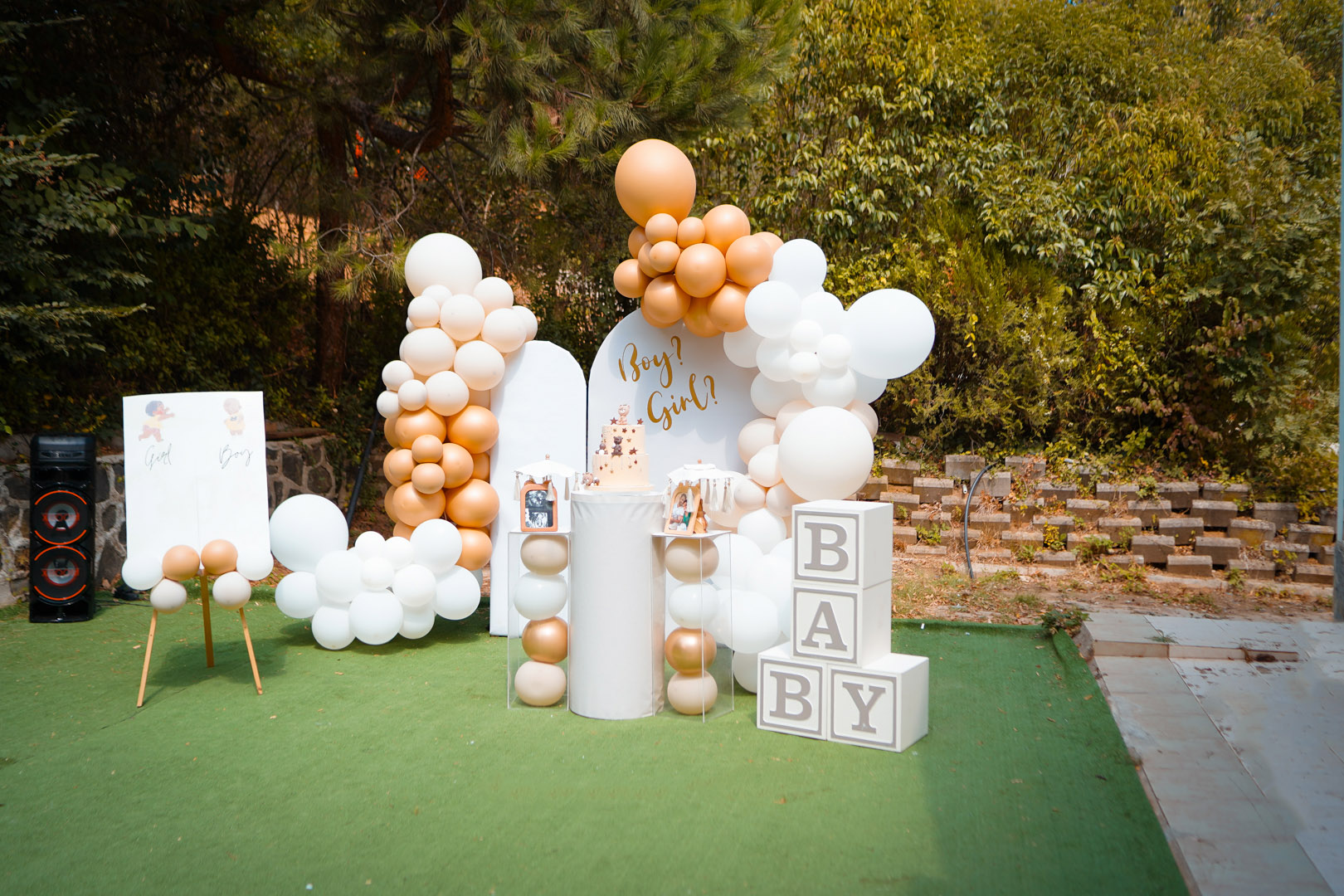 Cinsiyet Partisi Organizasyonu 3