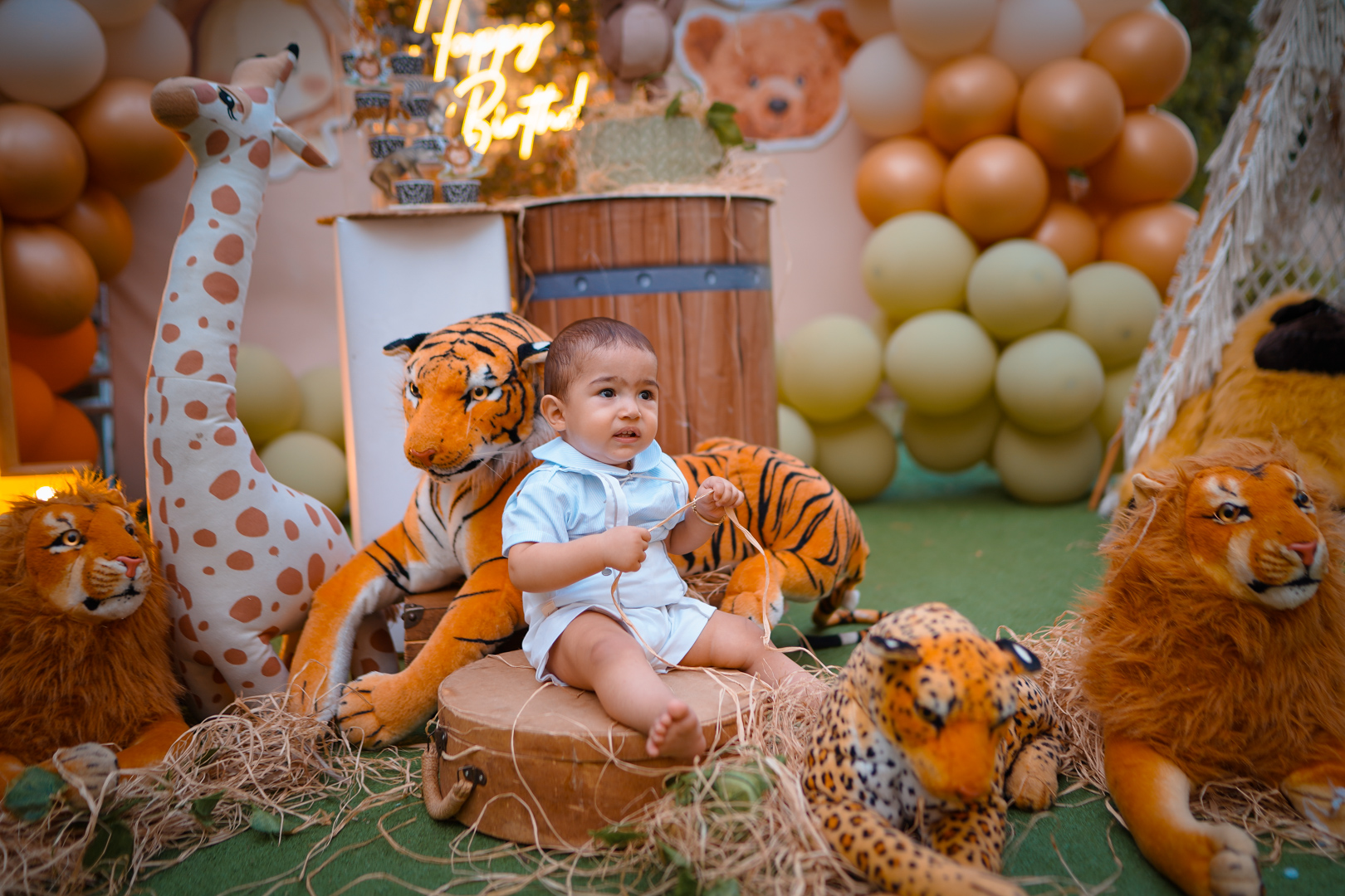 Doğum Günü Organizasyonu 1